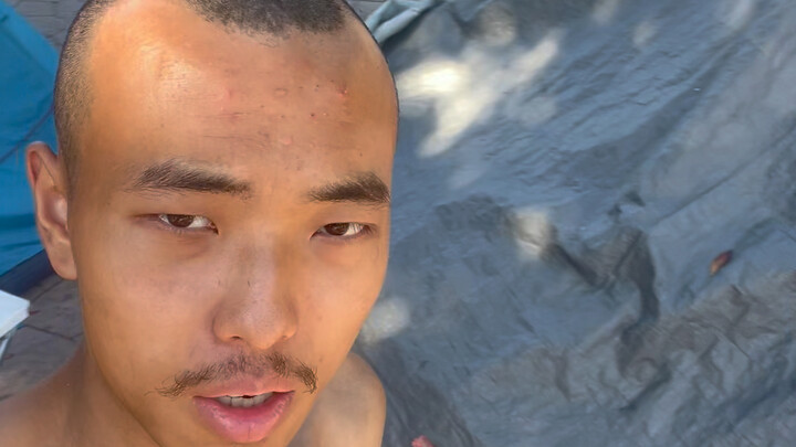 Một người một mèo lang thang nước Mỹ