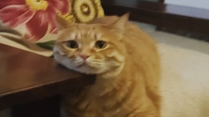 ที่แท้ตอนที่ฉันก้มหน้าเล่นมือถือ เขาก็แอบมองฉันมาตลอดนี่เอง