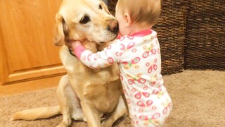 Funny Moment Baby And Dog เพื่อนที่ดีที่สุดของฉัน 5 นาทีล้มเหลว