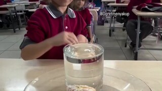 捞橘子挑战：从几乎装满水的杯子里取出橘子，且不能洒出一滴水。被最后出场的小孩姐智商碾压了...