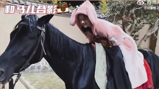 [Vid] Zhao Lusi Riding horse with red dress + mimicking like a horse