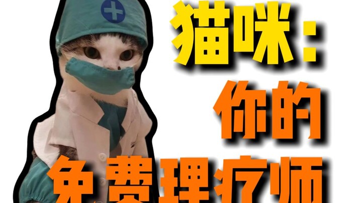 It turns out cats are born with the innate ability to heal humans.
