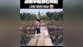 Những khuôn mặt vàng trong làng ngáo ngơ😂dog thucung pet fypシ yeudongvat dongvathaihuoc