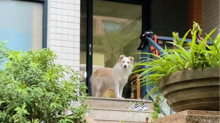 Mama sedang pergi dinas, bagaimana ya biar si kecil paham kalau beberapa hari ini dia tidak usah men