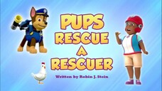 paw patrol musim 6 Episode 23 original