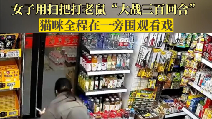 หญิงสาวใช้ไม้กวาดตีหนู “ต่อสู้สามร้อยกระบวนท่า” ขณะที่แมวคอยยืนดูอยู่ข้างๆ ตลอดเวลา