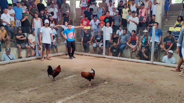 Pure Old line Bruce Barnett Sweater