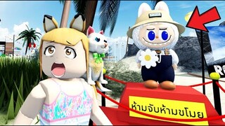 ลาบูบู้  เป็นของเรา  ROBLOX ติดเกาะ 🧸โจรขโมยลาบูบู้