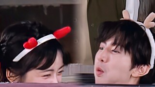 陈哲远×沈月                                这是恋综吧！！！