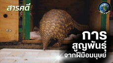 การสูญพันธุ์จากฝีมือมนุษย์ - สารคดีพากย์ไทย