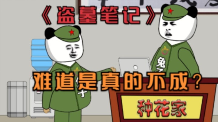 Rabbit: An ancient shipwreck was found in the South China Sea. Is that book real? Uncle San: Grave R