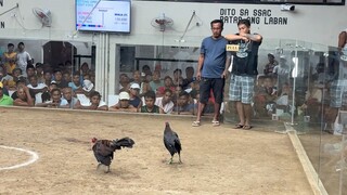 2 hits Ulutan. Henie vs henie 2nd fight