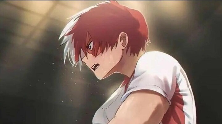 TODOROKI