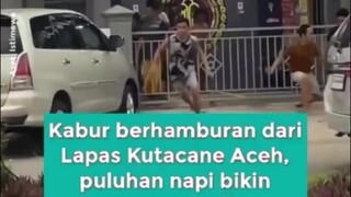VIRAL RATUSAN TAHANAN LAPAS KABUR