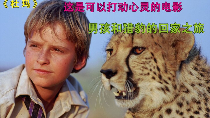 Một bộ phim lay động lòng người: Hành trình trở về nhà của cậu bé và chú báo săn