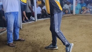 2nd fight win nanaman lakton..