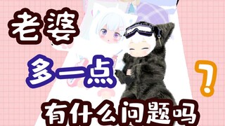 老婆多一点 有什么问题吗？