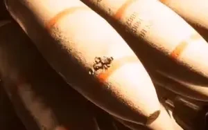 ลอง