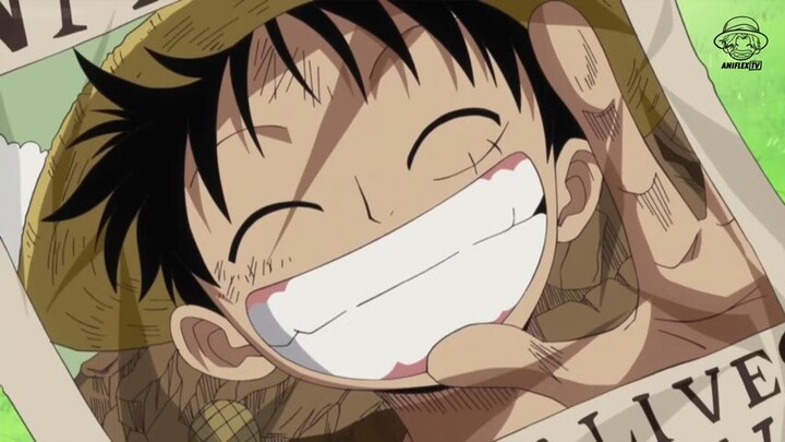 Moments When One-Piece Fans Went-Crazy