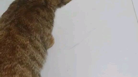 🌬