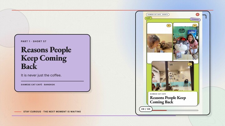 Siamese Cat Café #29 — Reasons People Keep Coming Back + A Postcard From the Cats