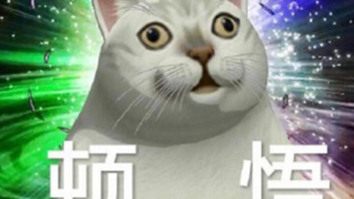 Can cats eat cat treats? Why do humans eat cat treats?