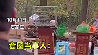 这个猪也是老员工了