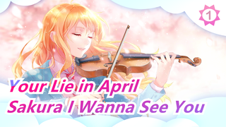 [Your Lie in April] Sakura I Wanna See You_1