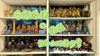 【圣斗士玩具分享】中年胶佬圣斗士的十年收藏 这可能是我最闪亮的一期😂