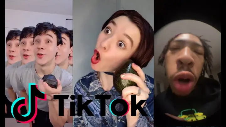 Avocados 🥑 from Mexico [TIK TOK Song & Compilation]