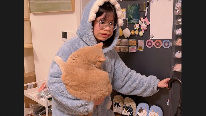 เมื่อฉันพาแมวกลับบ้านไปฉลองปีใหม่