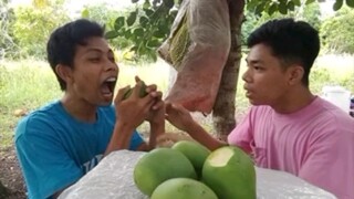 😅Kain Apple Challenge😅😂