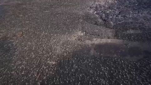 The Other Side Of The Deep Space Ep 2 Eng Sub