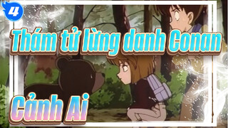 [Thám tử lừng danh Conan] Cảnh Ai/ TV212(228)-1 Mushroom,Mountain Bear & Detectives Team_4