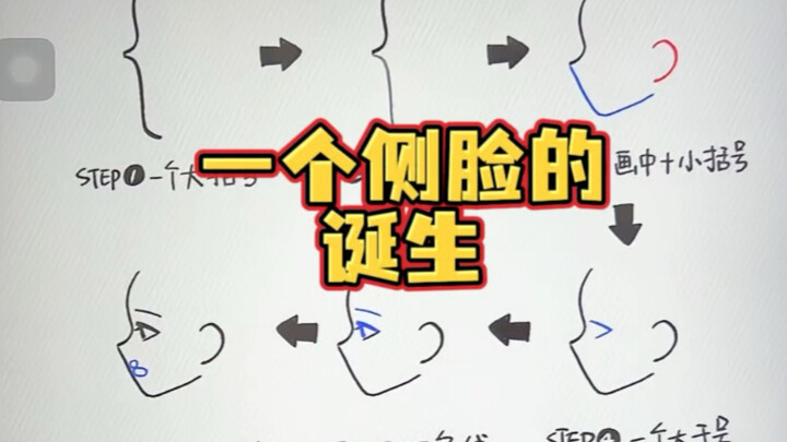 The birth of a profile!