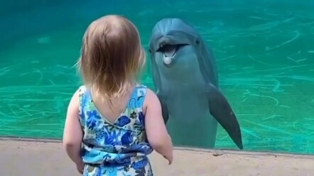 Hubungan akrab lumba-lumba dan bayi manusia