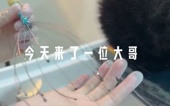 Tôi chỉ muốn nói rằng tôi ghen tị với chất lượng giấc ngủ của anh trai tôi.
