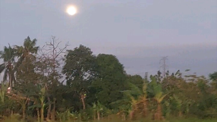 moon in the morning