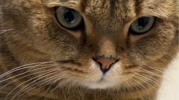 好家伙找了一晚上，终于知道耳机掉哪了！