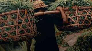 lalakon hirup