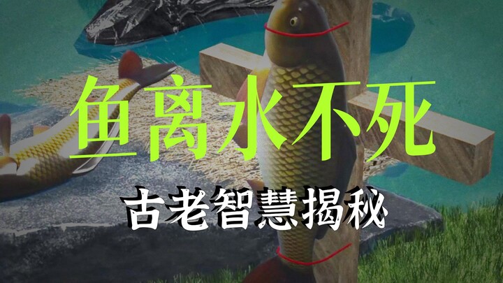 ปลาจะมีชีวิตอยู่ได้อย่างไรเมื่อออกจากน้ำ?