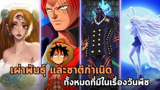 วันพีช - รวมเผ่าพันธุ์ต่าง ๆ ทั้งหมดที่มีในเรื่องวันพีช!!!