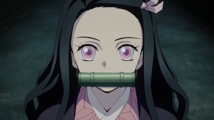 "Nezuko", hantu yang bertarung bersama pemburu hantu, Nezuko benar-benar manis sekali!