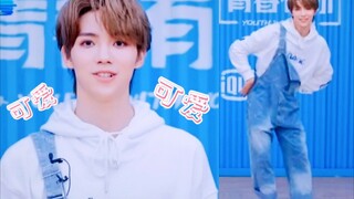 [Sangat lucu] "Tur Singa + Musim Hujan" Luo Yizhou