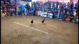binabahan Ang kalaban 79k Ang parada