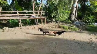 spr muna tayo