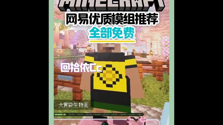 Recommended High-Quality Free Mods for the NetEase Edition of Minecraft #Minecraft #ModReview