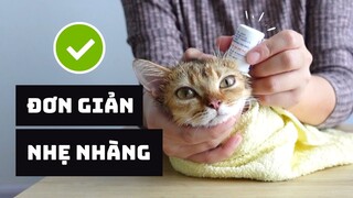 Cách NHỎ TAI Cho Mèo 😸✅ | Hướng Dẫn Chi Tiết Từng Bước