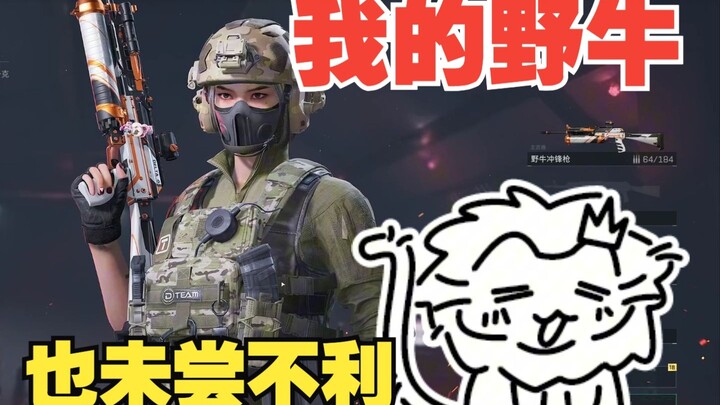 Sapi Liar Rahasia, bersama Tiga Tim dengan Perlengkapan Penuh~