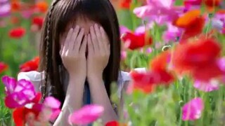 Anohana: The Flower We Saw That Day (live action)